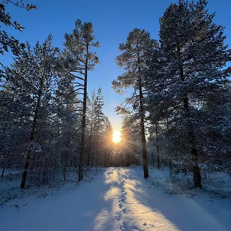 House Between Pines 5-bedroom House With 3 Toilets Villa