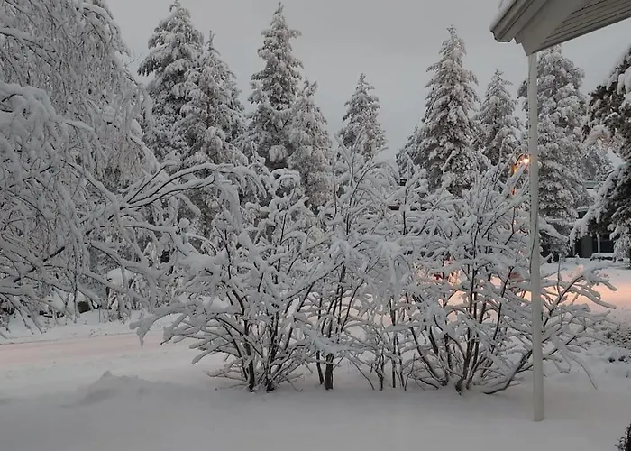 House Between Pines 5-bedroom House With 3 Toilets 빌라 로바니에미